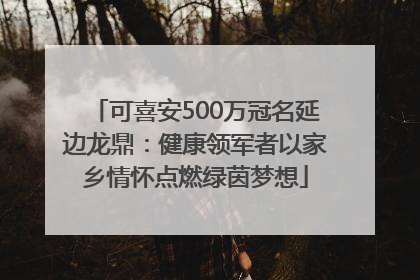 可喜安500万冠名延边龙鼎：健康领军者以家乡情怀点燃绿茵梦想