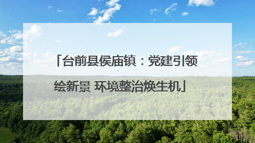 台前县侯庙镇：党建引领绘新景 环境整治焕生机