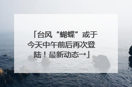 台风“蝴蝶”或于今天中午前后再次登陆！最新动态→