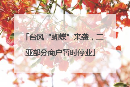 台风“蝴蝶”来袭，三亚部分商户暂时停业