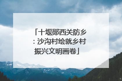 十堰郧西关防乡：沙沟村绘就乡村振兴文明画卷