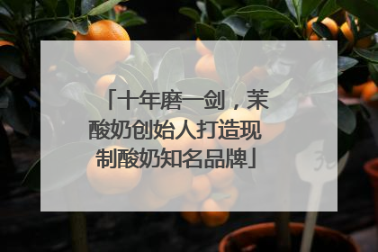 十年磨一剑，茉酸奶创始人打造现制酸奶知名品牌
