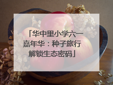 华中里小学六一嘉年华：种子旅行解锁生态密码