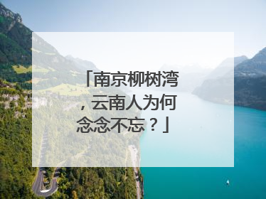 南京柳树湾，云南人为何念念不忘？