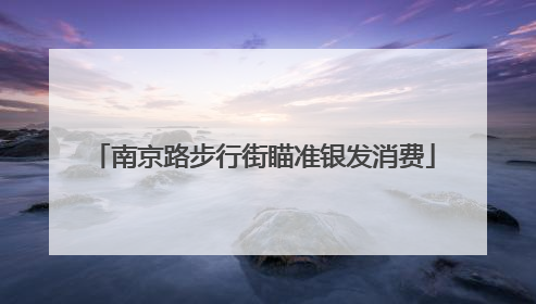 南京路步行街瞄准银发消费