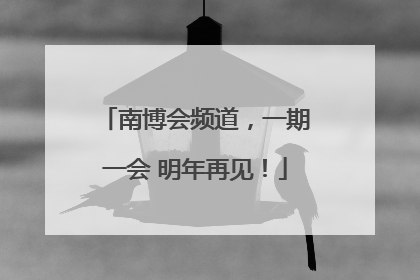 南博会频道，一期一会 明年再见！