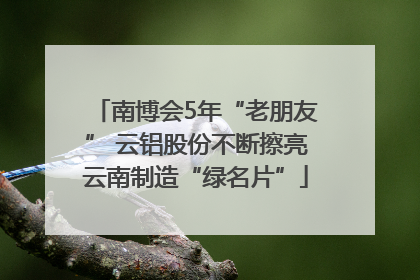 南博会5年“老朋友” 云铝股份不断擦亮云南制造“绿名片”