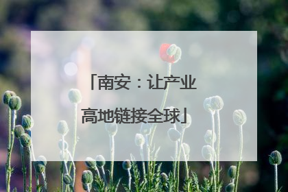 南安：让产业高地链接全球