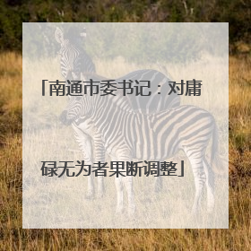 南通市委书记：对庸碌无为者果断调整