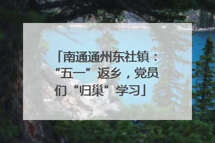 南通通州东社镇：“五一”返乡，党员们“归巢”学习