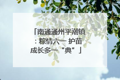 南通通州平潮镇：粽情六一 护苗成长多一“典”