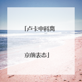卢卡申科离京前表态