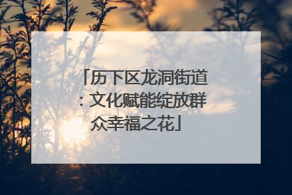 历下区龙洞街道：文化赋能绽放群众幸福之花