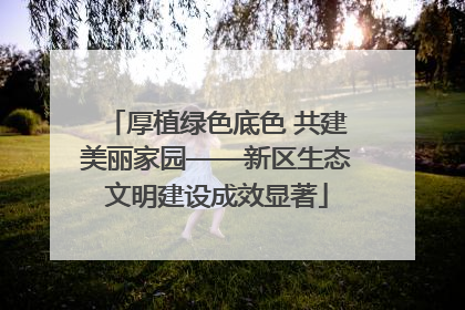 厚植绿色底色 共建美丽家园——新区生态文明建设成效显著