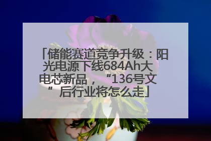 储能赛道竞争升级：阳光电源下线684Ah大电芯新品，“136号文”后行业将怎么走
