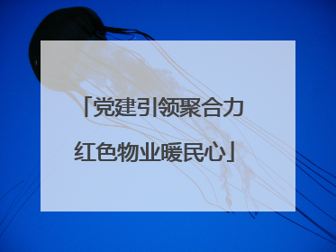 党建引领聚合力 红色物业暖民心