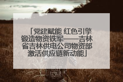 党建赋能 红色引擎锻造物资铁军——吉林省吉林供电公司物资部激活供应链新动能