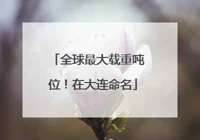全球最大载重吨位！在大连命名