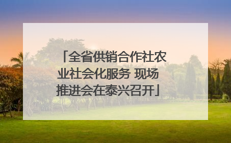 全省供销合作社农业社会化服务 现场推进会在泰兴召开