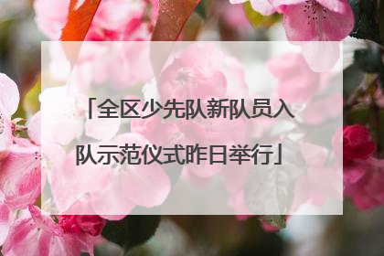 全区少先队新队员入队示范仪式昨日举行