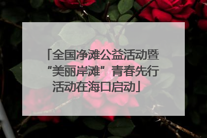 全国净滩公益活动暨“美丽岸滩”青春先行活动在海口启动