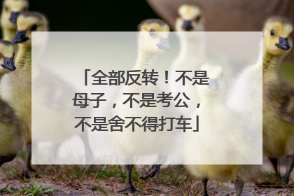 全部反转！不是母子，不是考公，不是舍不得打车