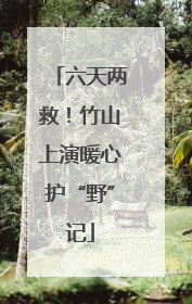 六天两救！竹山上演暖心护“野”记