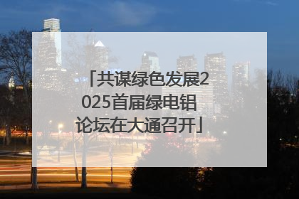 共谋绿色发展2025首届绿电铝论坛在大通召开