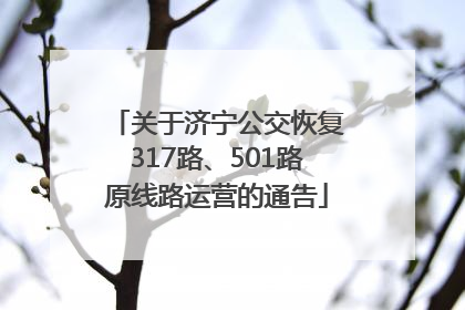 关于济宁公交恢复317路、501路原线路运营的通告