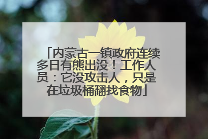 内蒙古一镇政府连续多日有熊出没！工作人员：它没攻击人，只是在垃圾桶翻找食物