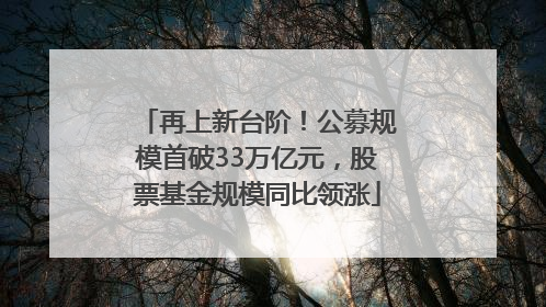 再上新台阶！公募规模首破33万亿元，股票基金规模同比领涨