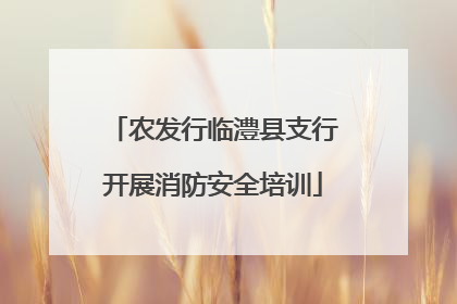 农发行临澧县支行开展消防安全培训