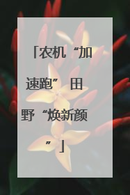 农机“加速跑” 田野“焕新颜”