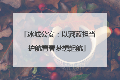 冰城公安:以藏蓝担当 护航青春梦想起航
