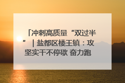 冲刺高质量“双过半”｜盐都区楼王镇：攻坚实干不停歇 奋力跑赢“上半场”