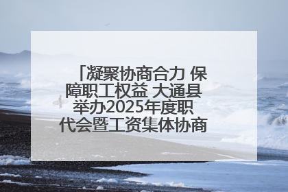 凝聚协商合力 保障职工权益 大通县举办2025年度职代会暨工资集体协商现场观摩交流活动