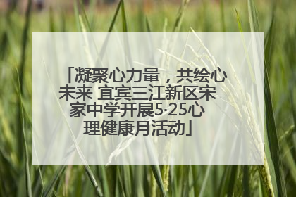 凝聚心力量，共绘心未来 宜宾三江新区宋家中学开展5·25心理健康月活动
