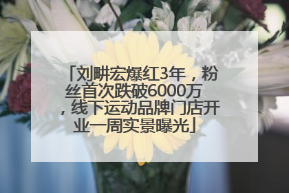 刘畊宏爆红3年，粉丝首次跌破6000万，线下运动品牌门店开业一周实景曝光