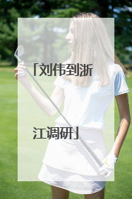 刘伟到浙江调研