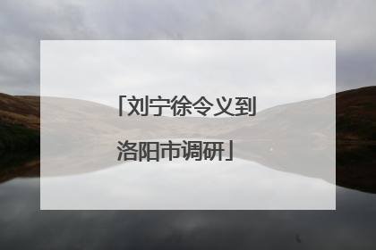 刘宁徐令义到洛阳市调研