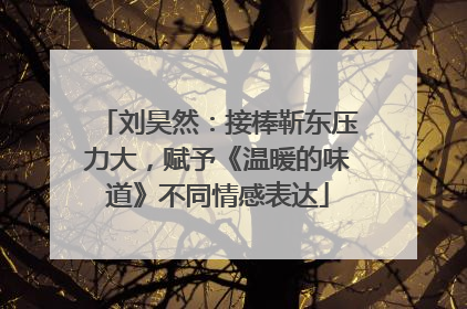刘昊然：接棒靳东压力大，赋予《温暖的味道》不同情感表达