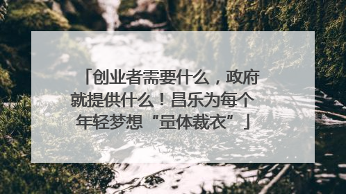 创业者需要什么，政府就提供什么！昌乐为每个年轻梦想“量体裁衣”