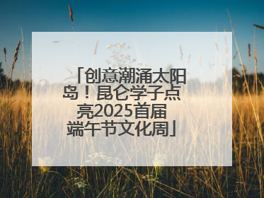创意潮涌太阳岛！昆仑学子点亮2025首届端午节文化周