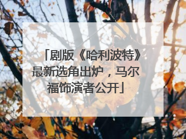 剧版《哈利波特》最新选角出炉，马尔福饰演者公开
