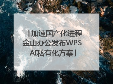 加速国产化进程 金山办公发布WPS AI私有化方案