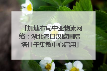 加速布局中亚物流网络：湖北港口汉欧国际塔什干集散中心启用