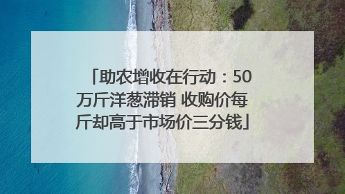 助农增收在行动：50万斤洋葱滞销 收购价每斤却高于市场价三分钱