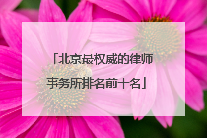 北京最权威的律师事务所排名前十名