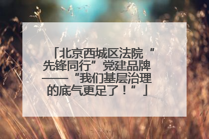 北京西城区法院“先锋同行”党建品牌——“我们基层治理的底气更足了！”