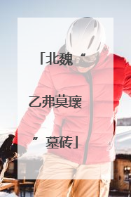 北魏“乙弗莫瓌”墓砖
